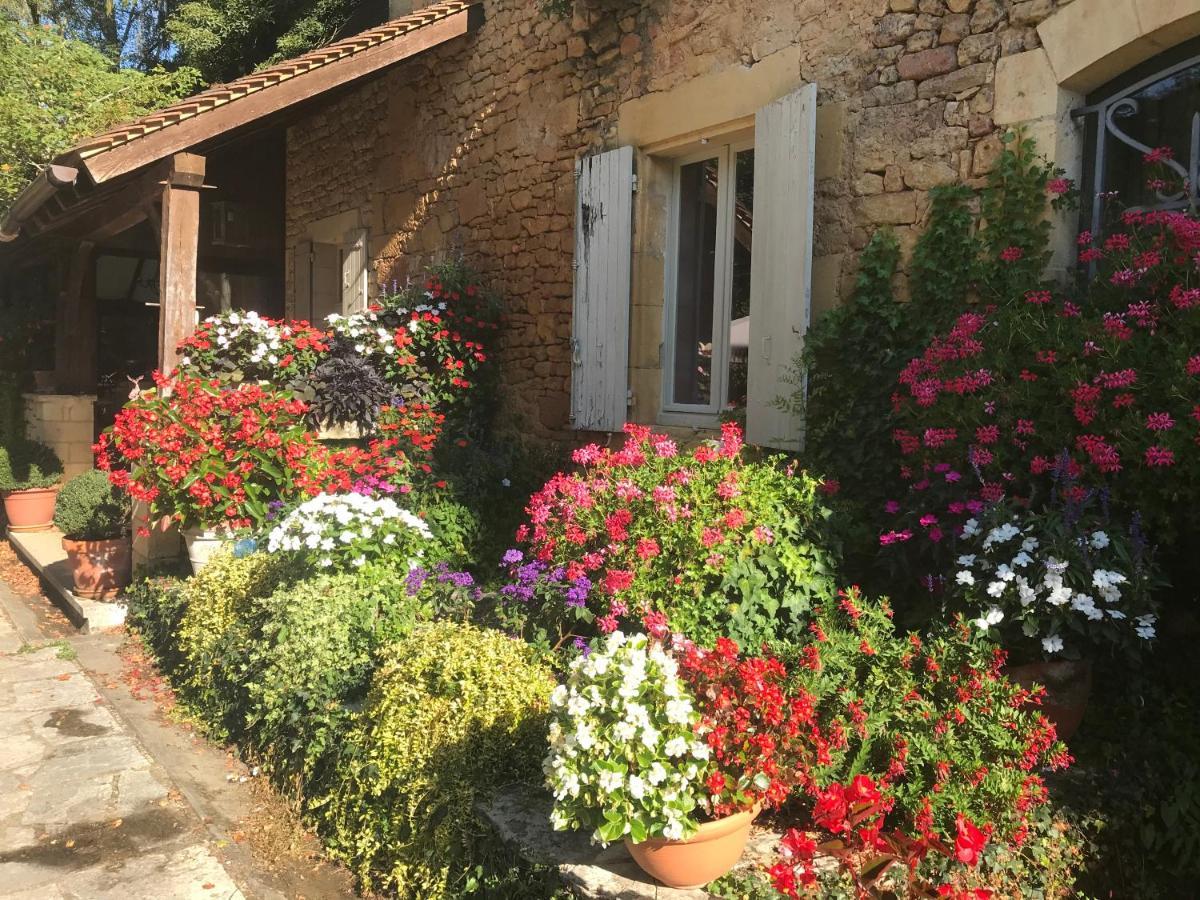 Bed & Breakfast Le Moulin Neuf Saint-Alvere ภายนอก รูปภาพ