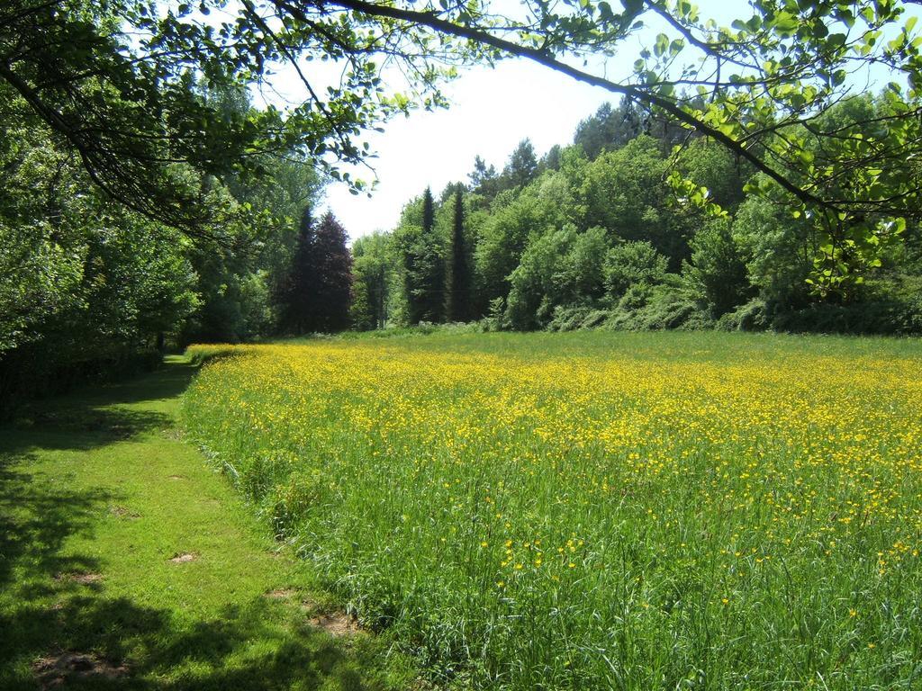 Bed & Breakfast Le Moulin Neuf Saint-Alvere ภายนอก รูปภาพ
